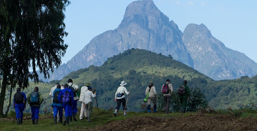  Nature Walk Around Volcanoes National Park and Discover the Beauty of Rwanda.